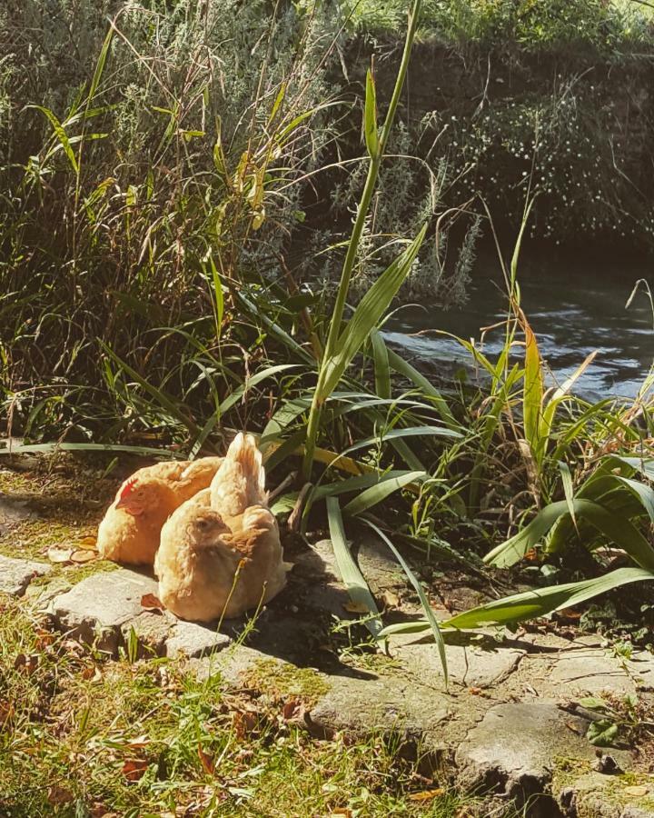 Le Moulin De Longueil Βίλα Εξωτερικό φωτογραφία